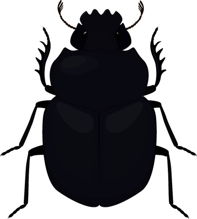 Scarab icon. Simple illustration ofのイラスト素材
