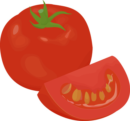 Fresh red tomato and slice isolated on whiteのイラスト素材