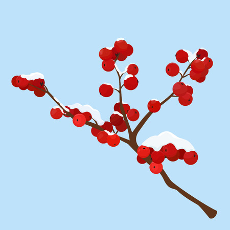 Hawthorn berry covered with hoarfrost isolated on blueのイラスト素材
