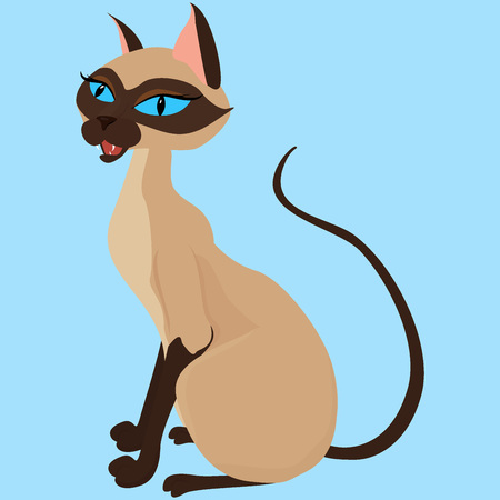Siamese Cat Sitting Illustration Isolated on blueのイラスト素材