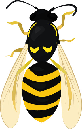 Cartoon Sketch of Wasp. Insect isolated on white. Bee. Vector illustrationのイラスト素材