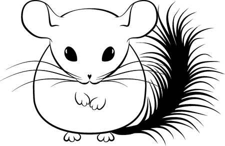 Monochrome illustration of cartoon stylized line art chinchilla isolated on whiteのイラスト素材