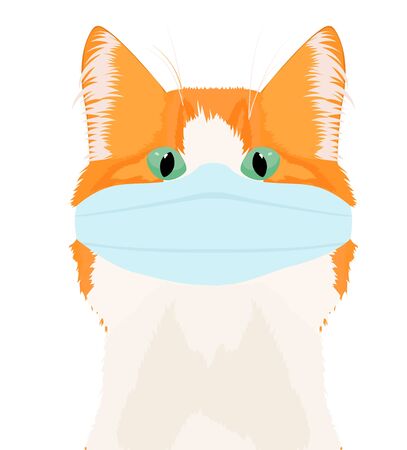 cat in medical mask. ginger cat isolated on whiteのイラスト素材