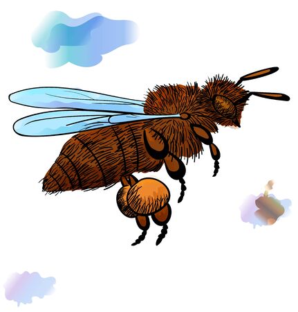 honey bee in fly illustration with black contourのイラスト素材