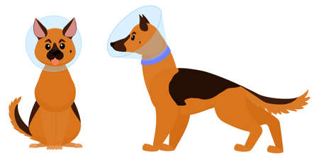 dog cone, cartoon dog with elizabethan collar isolated on white background. Plastic cone of Shame vector illustrationのイラスト素材