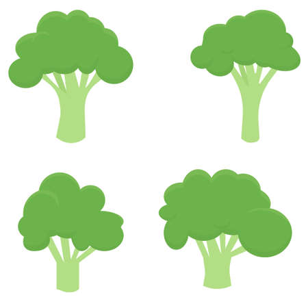 Broccoli isolated on white background. Vector illustration of green fresh vegetable in flat style.のイラスト素材