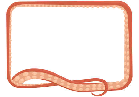 Octopus tentacle rectangular frame isolated on white background. Monster kraken arm. Cartoon vector illustration. Underwater animal feeler.のイラスト素材