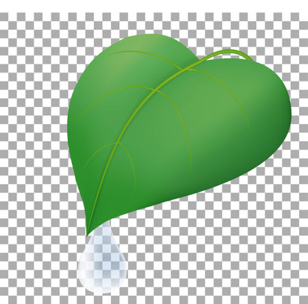 Water transparent dewdrop on green leaf isolated on transparent background. Vector realistic drop illustration.のイラスト素材