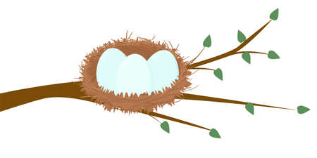 Cartoon bird nest with three eggs on tree twigs isolated on white. Vector spring illustration.のイラスト素材
