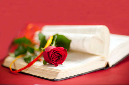 Love story book concept  Red rose with hatband at opened book with heart shape pages  Red backgroundの写真素材