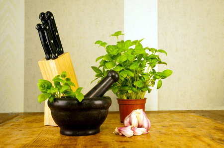 Preparing basil pesto at kitchen wooden table  Ingredients  fresh basil and garlic  Mortar and set of knives at table  Basil in a pot の写真素材