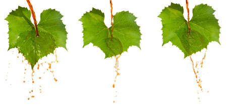 Red wine and leafsの写真素材