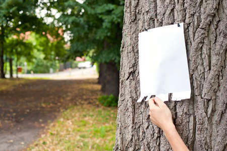 Hand taking a little sheet of paper from announcement の写真素材