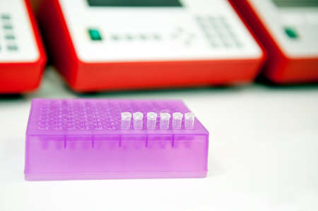 Samples in test tubes waiting for pcr reaction in genetics laboratory の写真素材