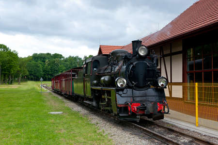 narrow-gauge railway locomotive at station