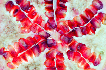 Close up of pomegranate fruit slice center  の写真素材