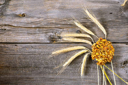 cereal cake and ears of grainの写真素材