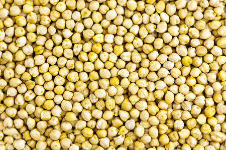 background made of chickpeas seedsの写真素材