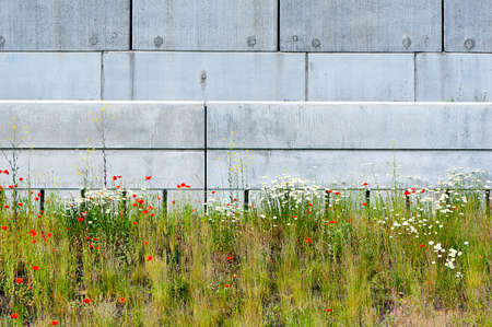 wild flowers meadow against concrete wallの写真素材