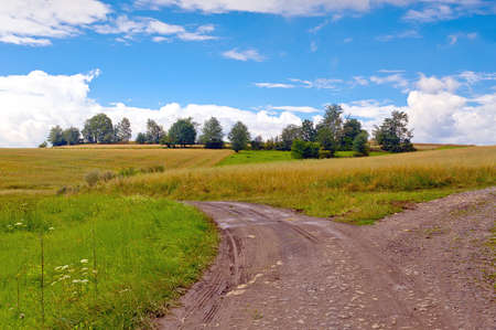 Road through country fields in Bobr River Valley, Lower Silesia, Poland on sunny day.の写真素材