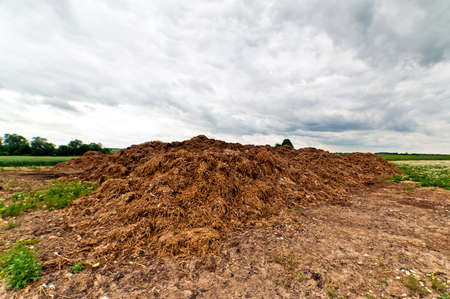 Agricultural land with a large heap of brown dung (cow dirt) used as a fertilizer, beyond which are...