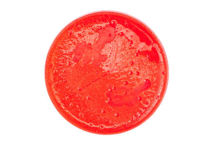 Petri dish with red medium, bacteria and yeast colonies growing, isolated on a white background.