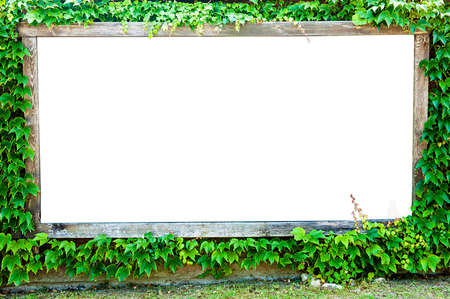 Blank white billboard with overgrown green ivy borderの写真素材