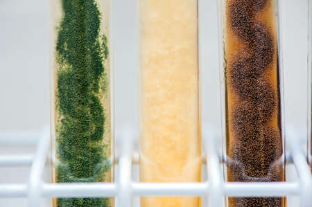 various molds in agar slant tubesの写真素材