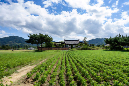 Agriculture in South Korea,Chongdeokgung Palaceの素材