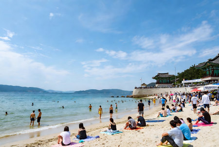 Beach in South Koreaの素材
