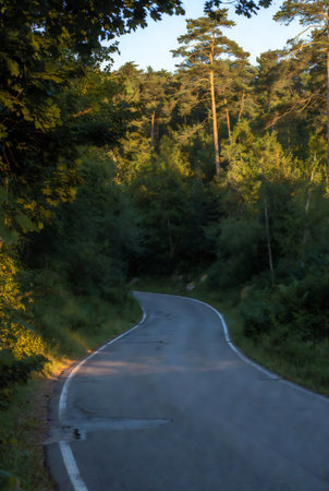 Road in the forest in the evening. Beautiful landscape with road and trees.の素材