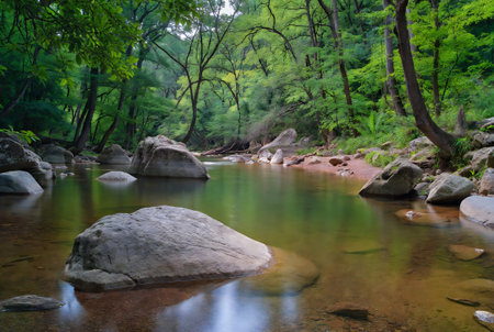 Mountain river flowing through the forest in a summer day. Natural backgroundの素材