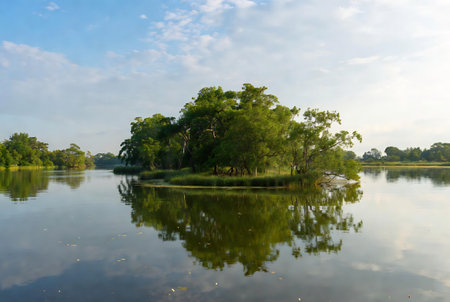 Landscape view of a lake with trees in the evening, Thailand.の素材