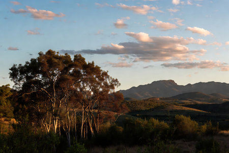 Sunset in the Australian outback, with mountains in the backgroundの素材