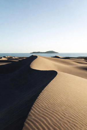 Sand dunes in Maspalomas, Gran Canaria, Canary Islands, Spainの素材