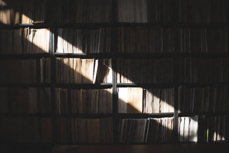 Old books in the library. The shadow of the books on the wall.の素材