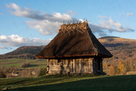 Old wooden house with a thatched roof in the Carpathian mountainsの素材