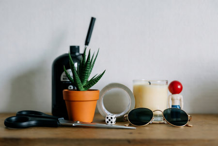 Sunglasses, succulent plant, scissors and spray bottle on wooden tableの素材