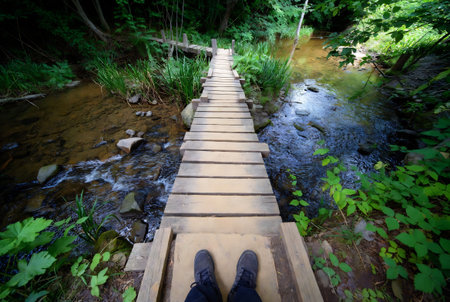 Wooden footbridge over a small river in the forest in summerの素材