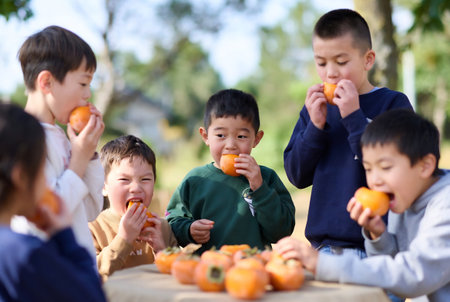 Group of happy children eating persimmon in the park on summer dayの素材