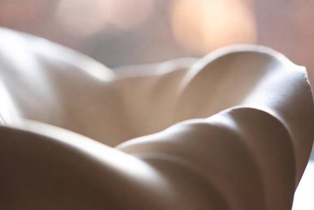 Silhouette of a beautiful woman's body in soft light.の素材