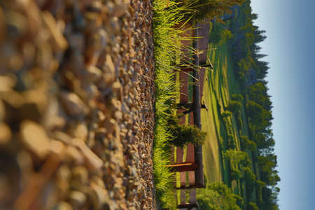 Beautiful view of the fence with green grass on the wall.の写真素材