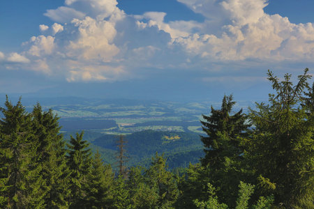 View from the top of the mountain. Beautiful summer landscape. Carpathians, Ukraine.