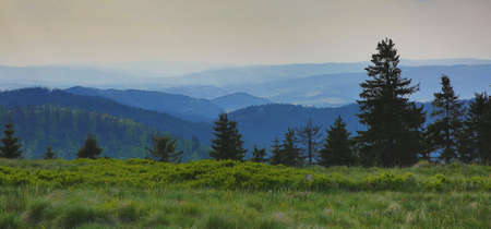 Panoramic view of the Carpathian Mountains, Ukraine.の写真素材
