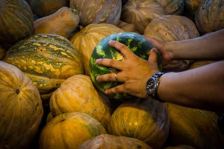 Pick up the melon