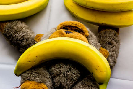 Banana Dumblesの写真素材