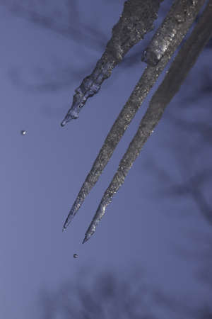 Icicles