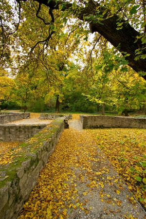 Romantic Pathの写真素材