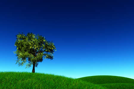 Tree on Green Field 3D renderの写真素材
