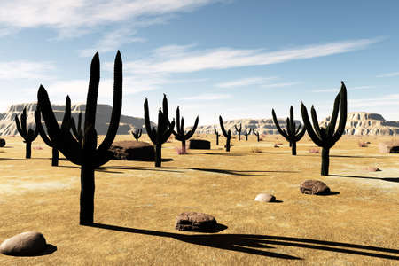 Desert Saguaro Cactus Field 3D artworkの写真素材